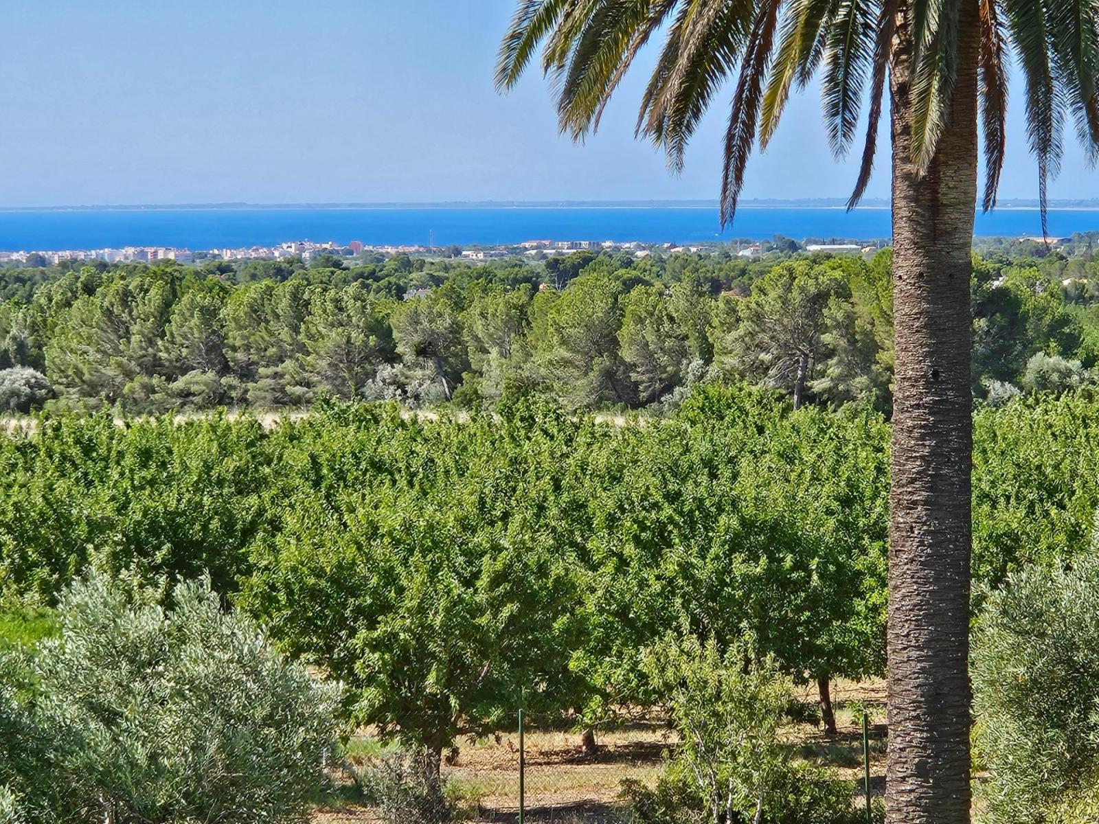 Finca en Venta en L' Ametlla de Mar