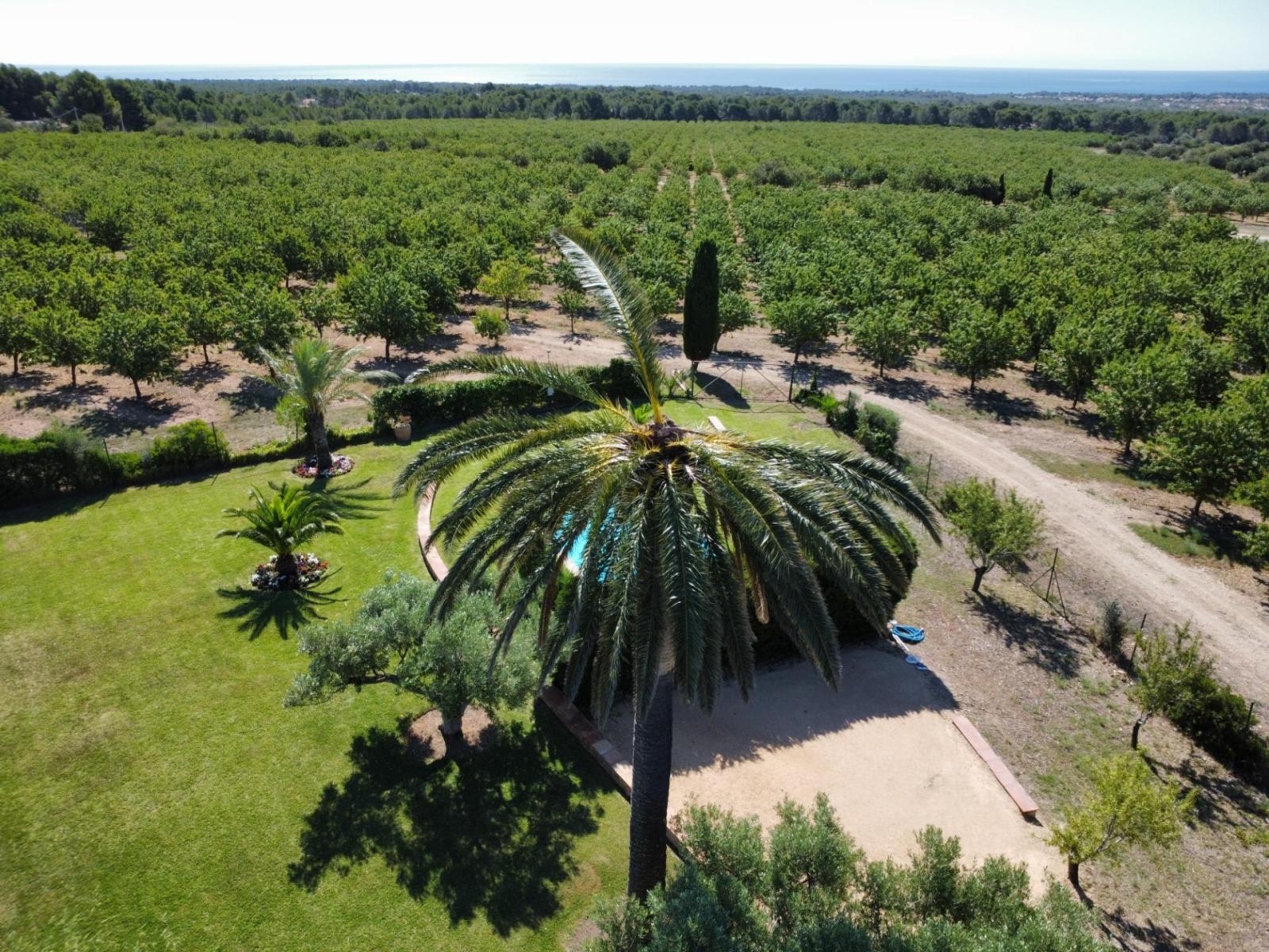 Finca en Venta en L' Ametlla de Mar