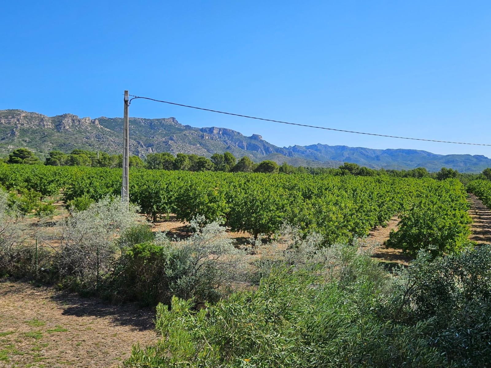 Finca en Venta en L' Ametlla de Mar
