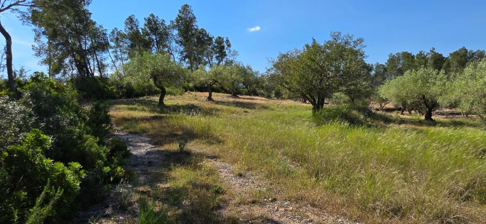 Finca en Venta en Tivissa