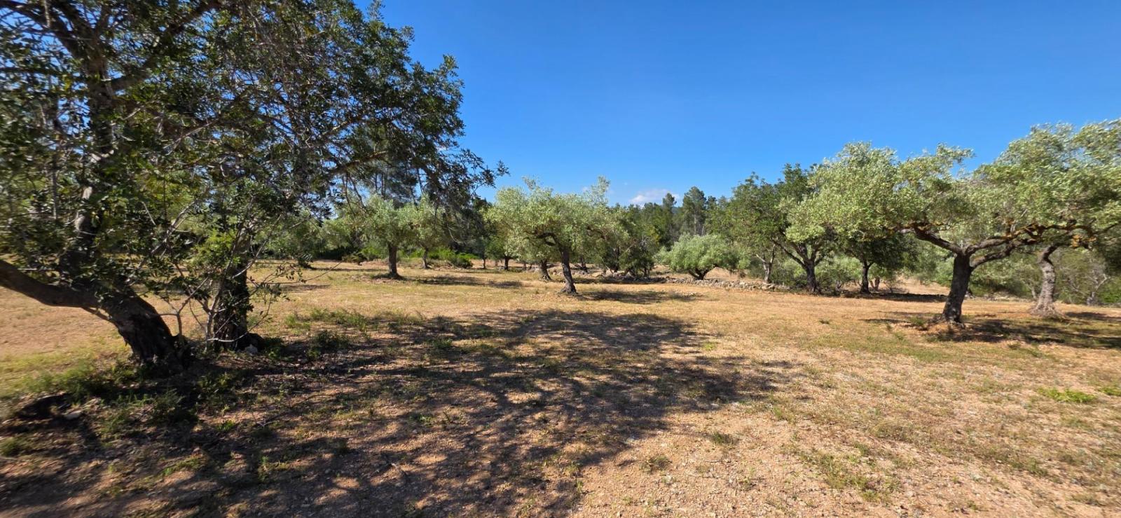 Finca en Venta en Tivissa