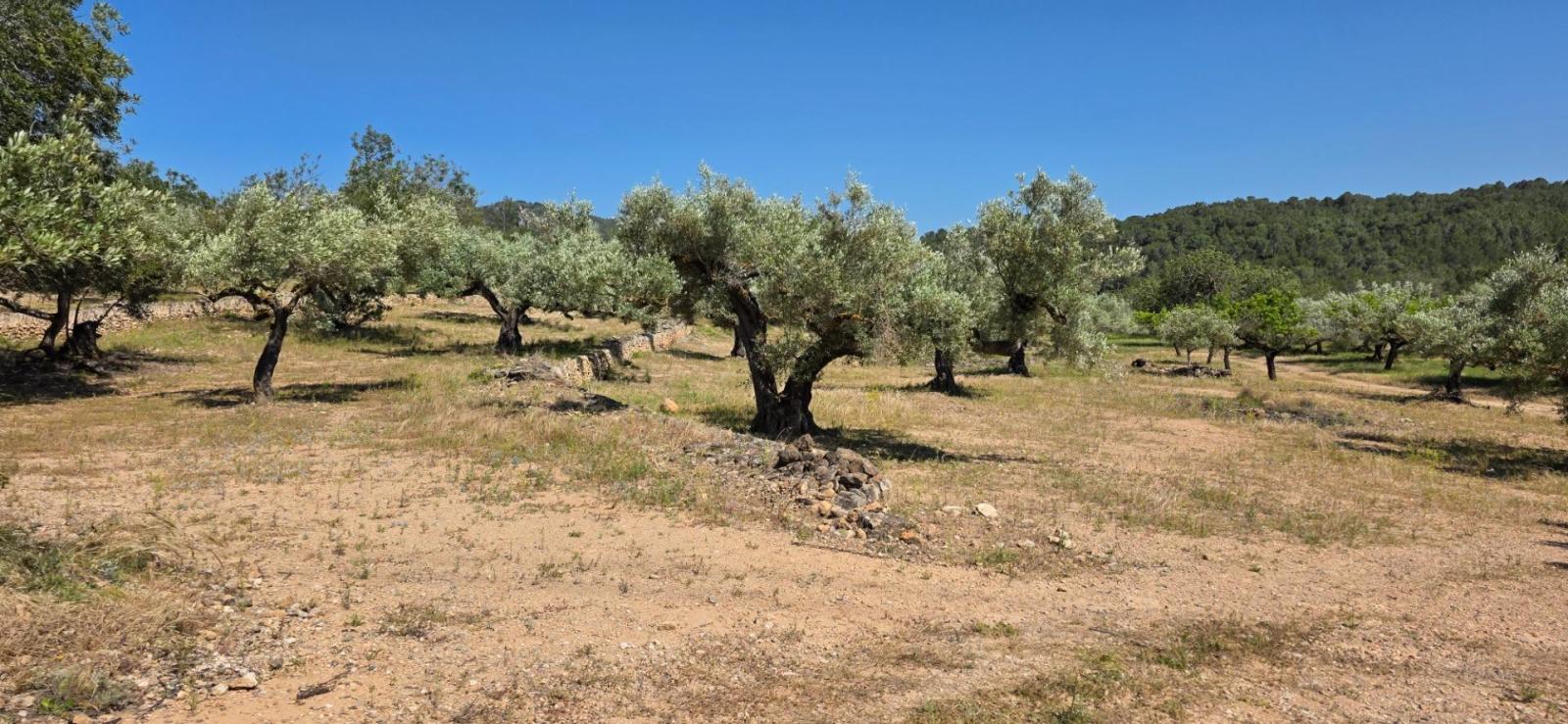 Finca en Venta en Tivissa