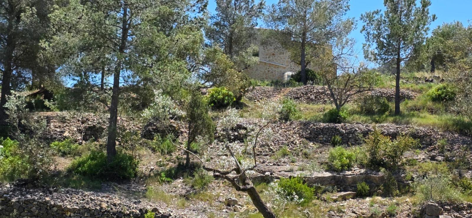 Finca en Venta en Tivissa