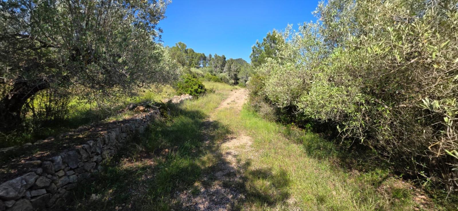 Finca en Venta en Tivissa