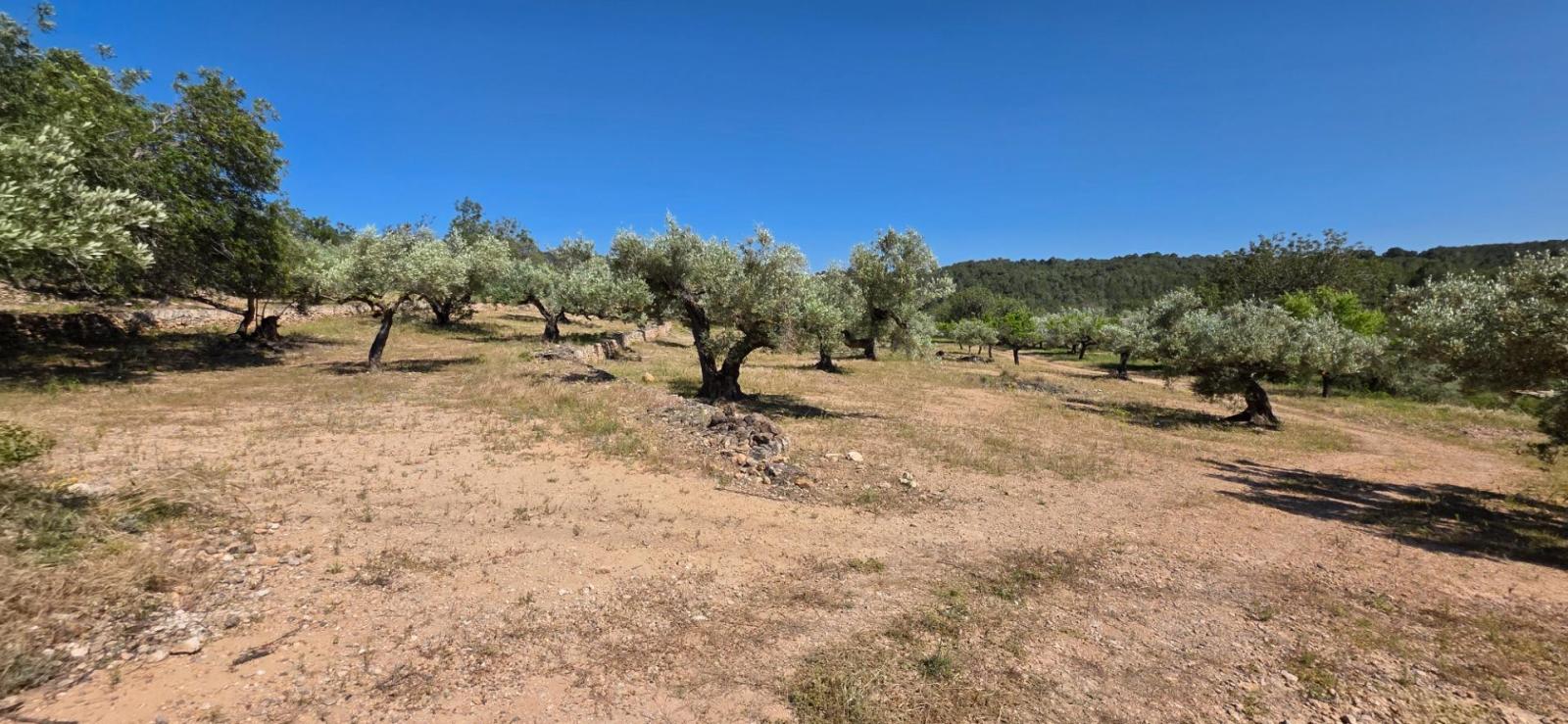 Finca en Venta en Tivissa