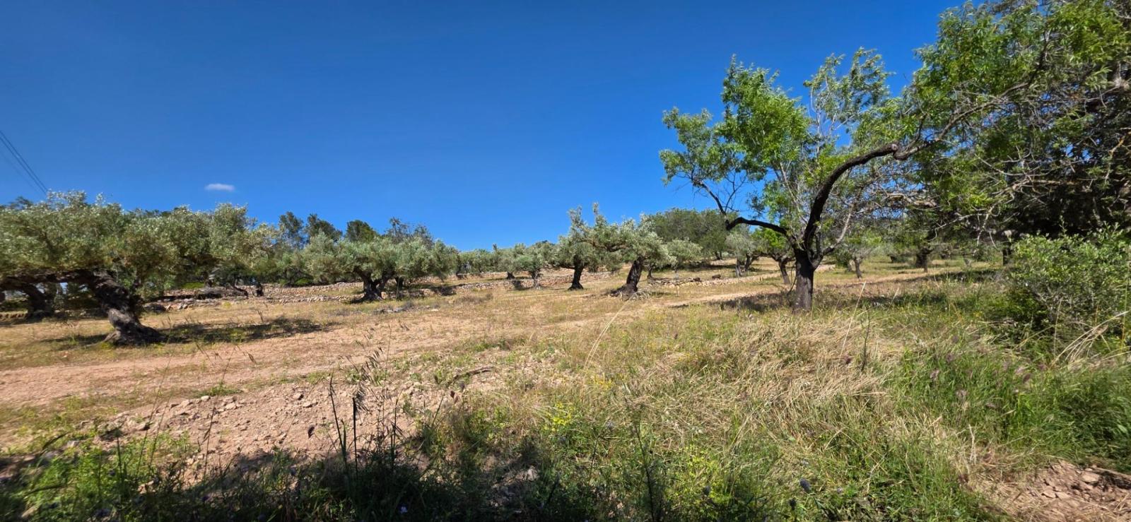 Finca en Venta en Tivissa