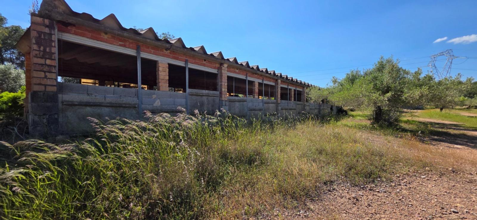 Finca en Venta en Tivissa