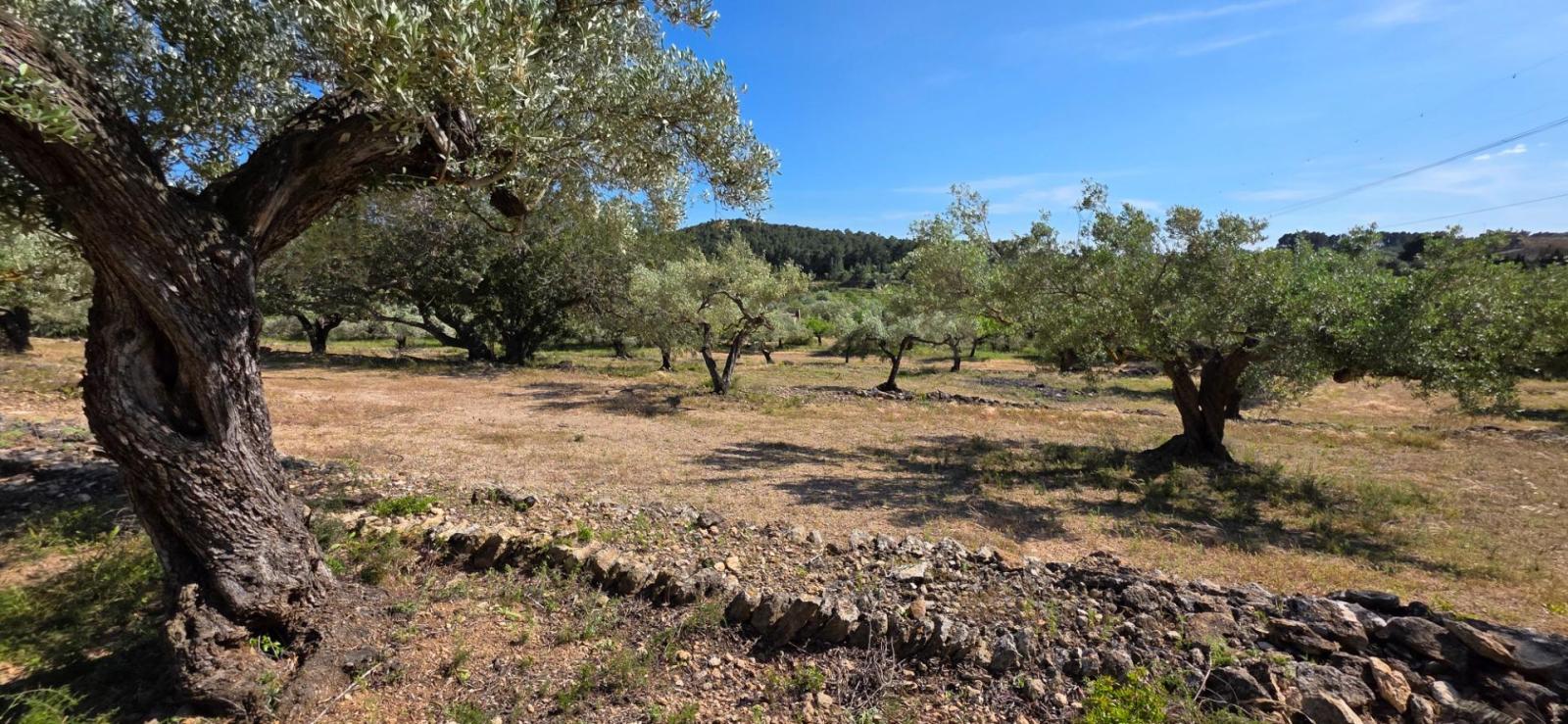 Finca en Venta en Tivissa