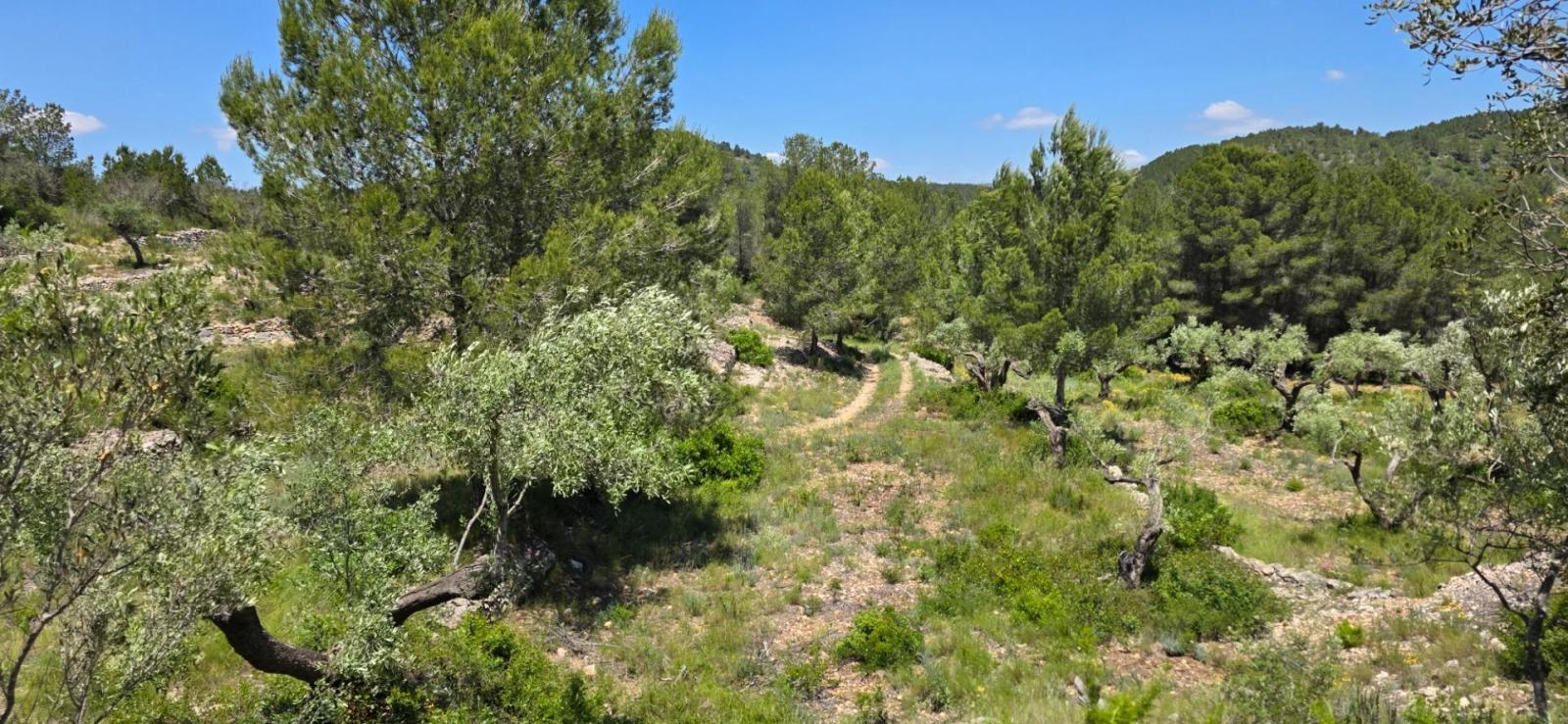 Finca en Venta en Tivissa