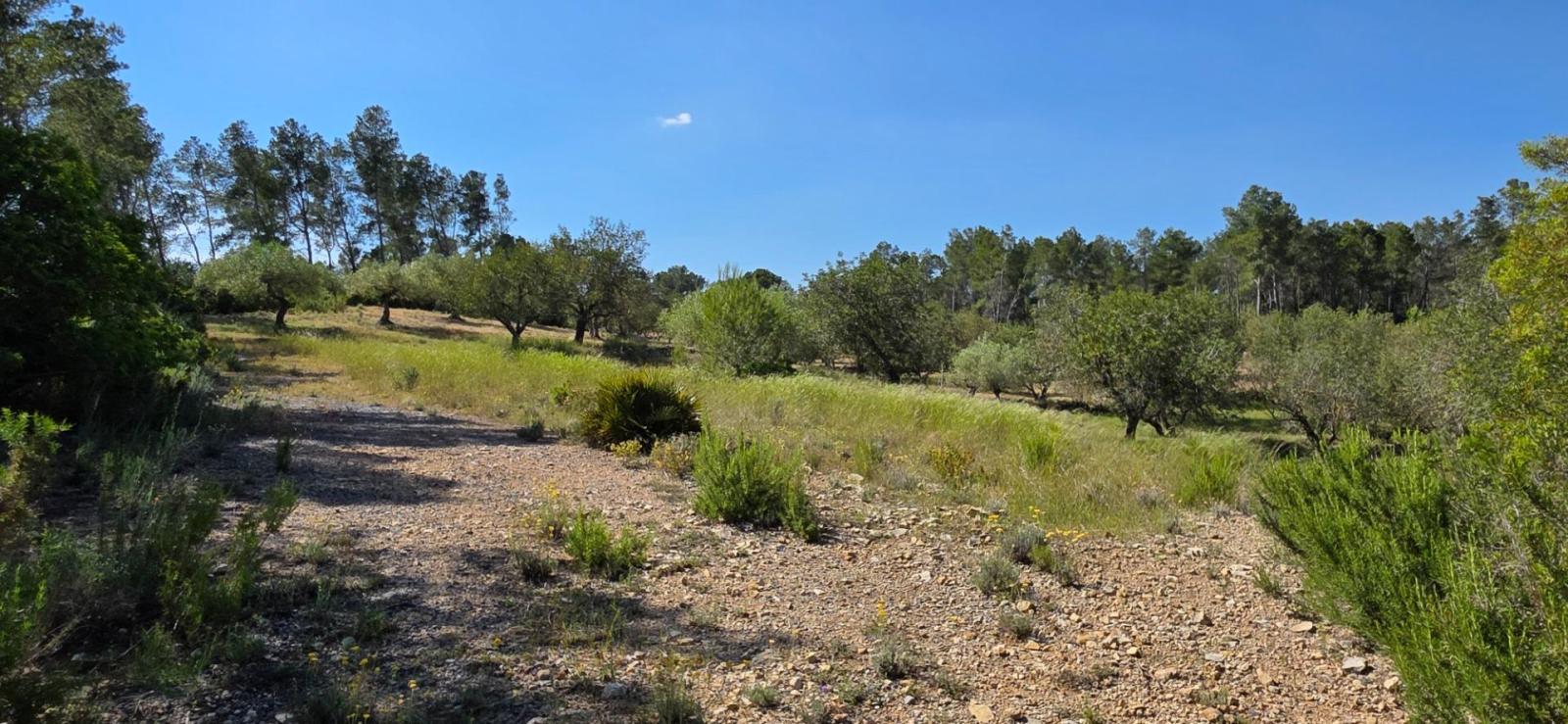 Finca en Venta en Tivissa