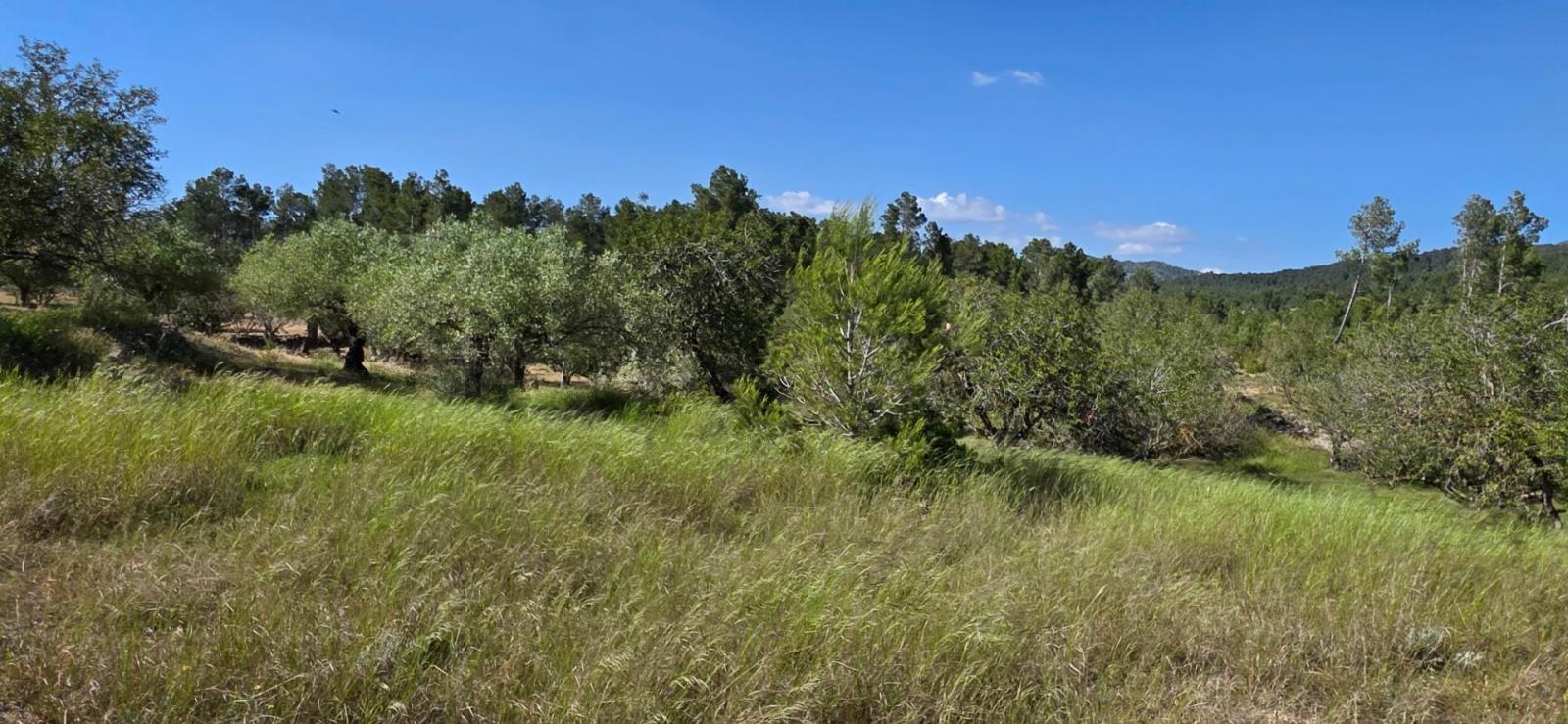 Finca en Venta en Tivissa