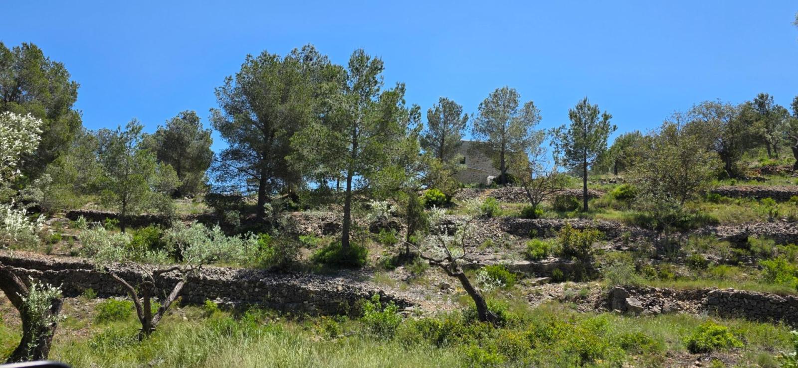 Finca en Venta en Tivissa