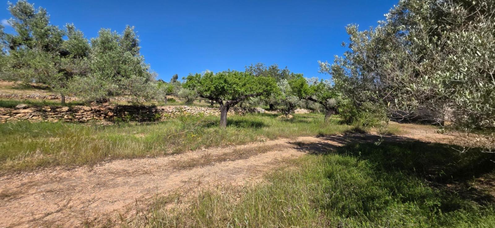 Finca en Venta en Tivissa
