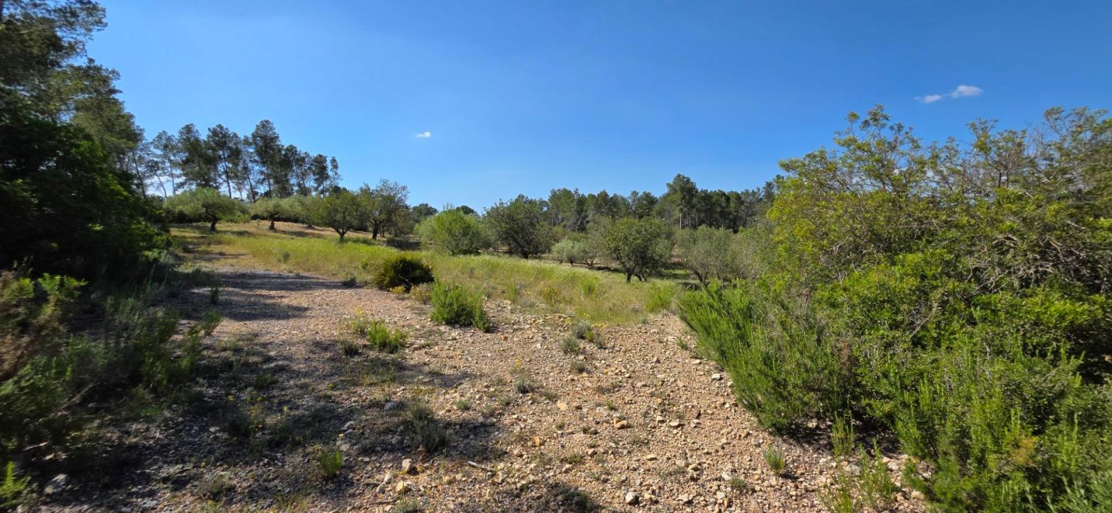 Finca en Venta en Tivissa