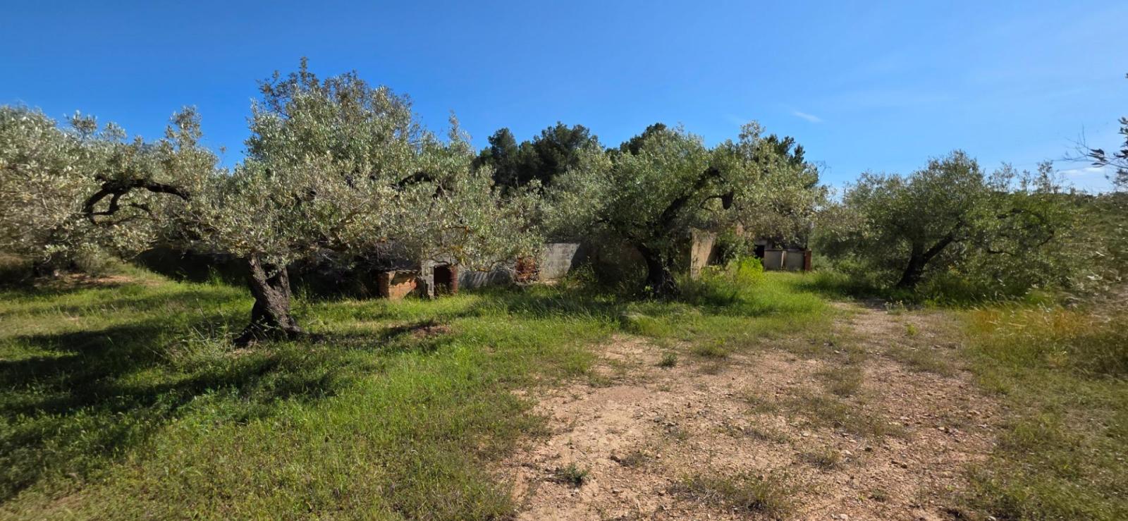 Finca en Venta en Tivissa