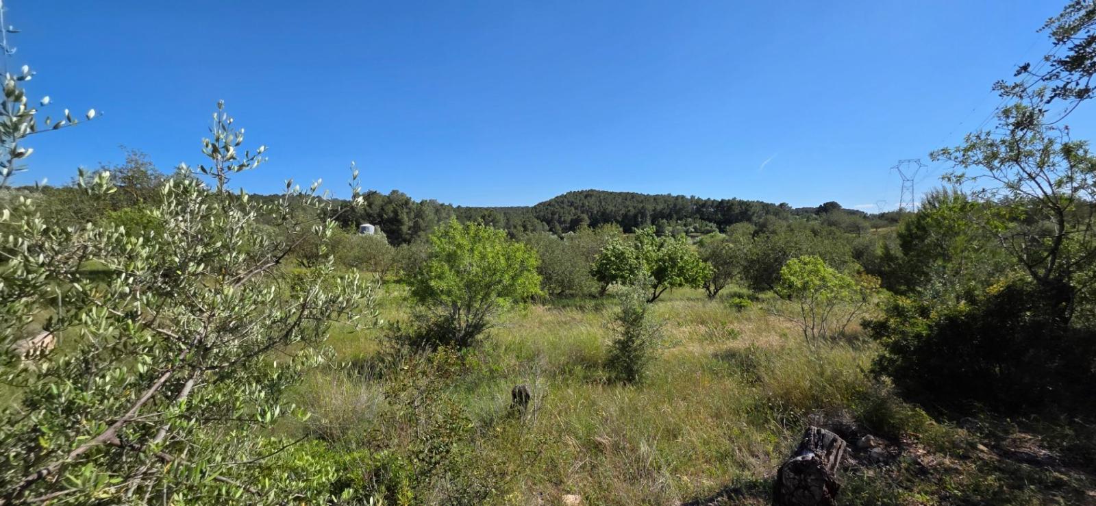 Finca en Venta en Tivissa