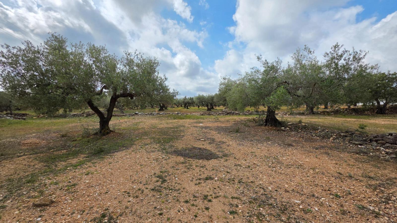 Finca en Venta en L' Ametlla de Mar