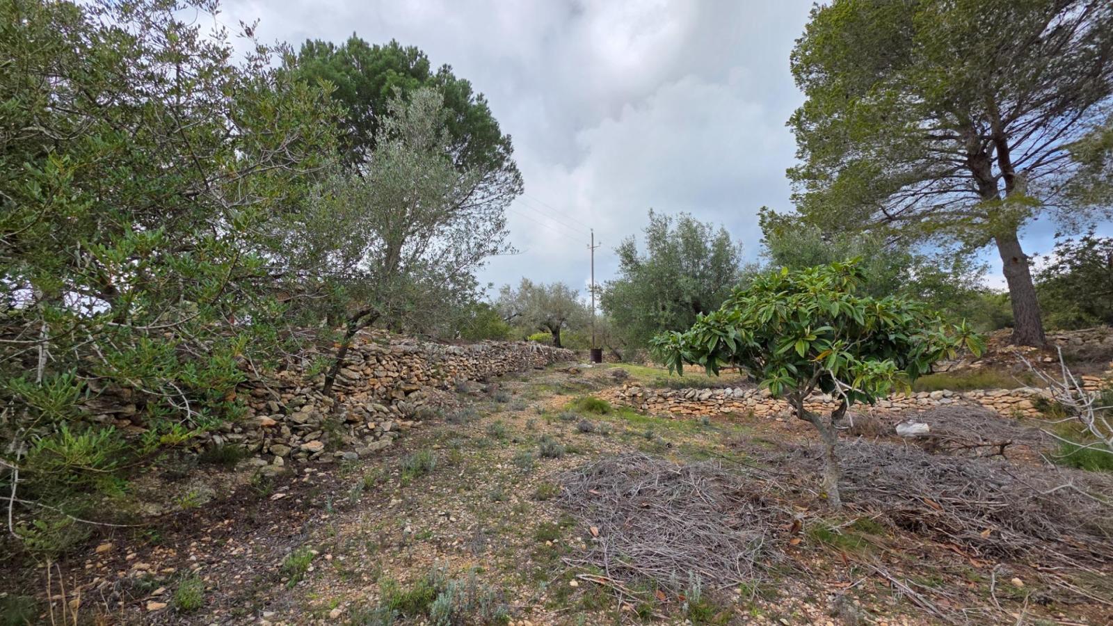 Finca en Venta en L' Ametlla de Mar