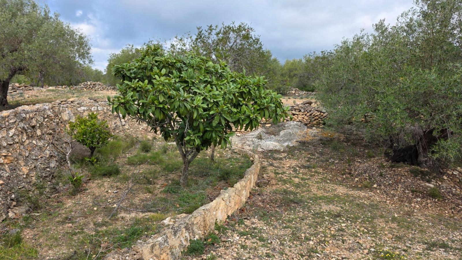 Finca en Venta en L' Ametlla de Mar
