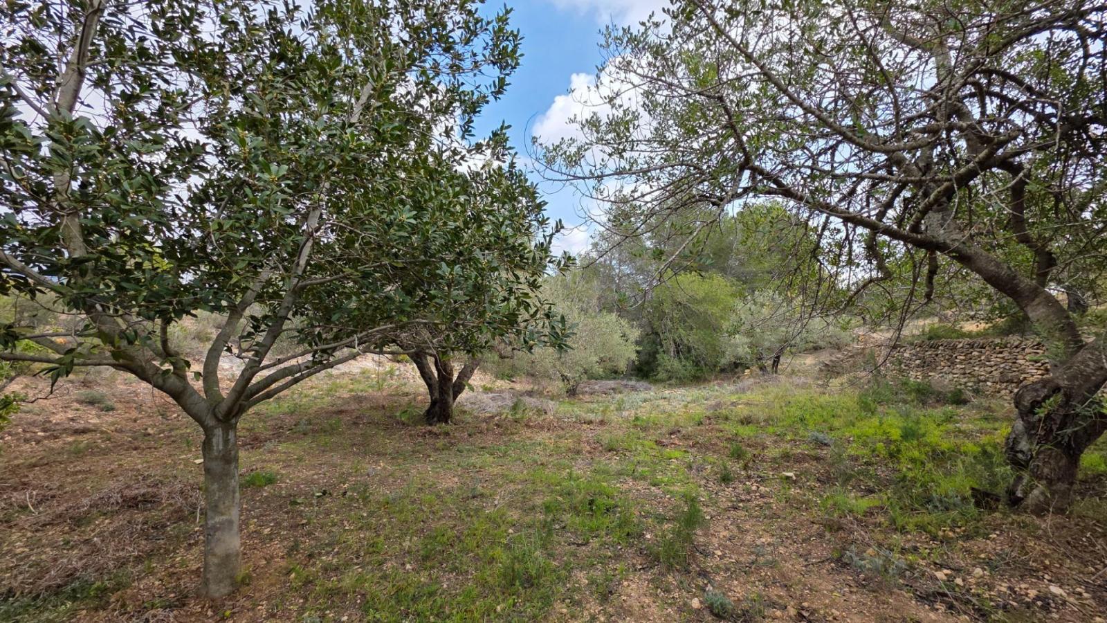 Finca en Venta en L' Ametlla de Mar
