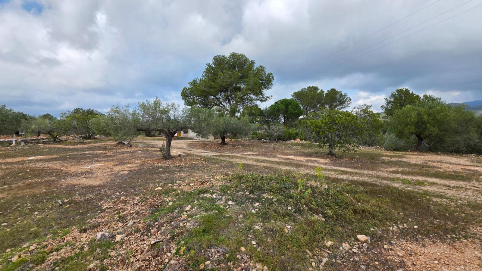 Finca en Venta en L' Ametlla de Mar
