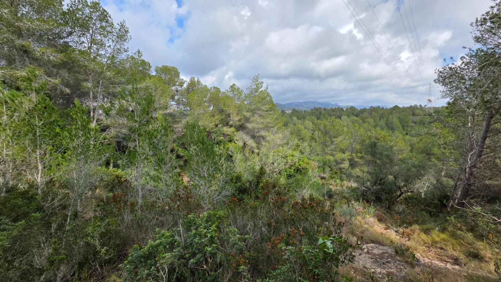 Finca en Venta en L' Ametlla de Mar