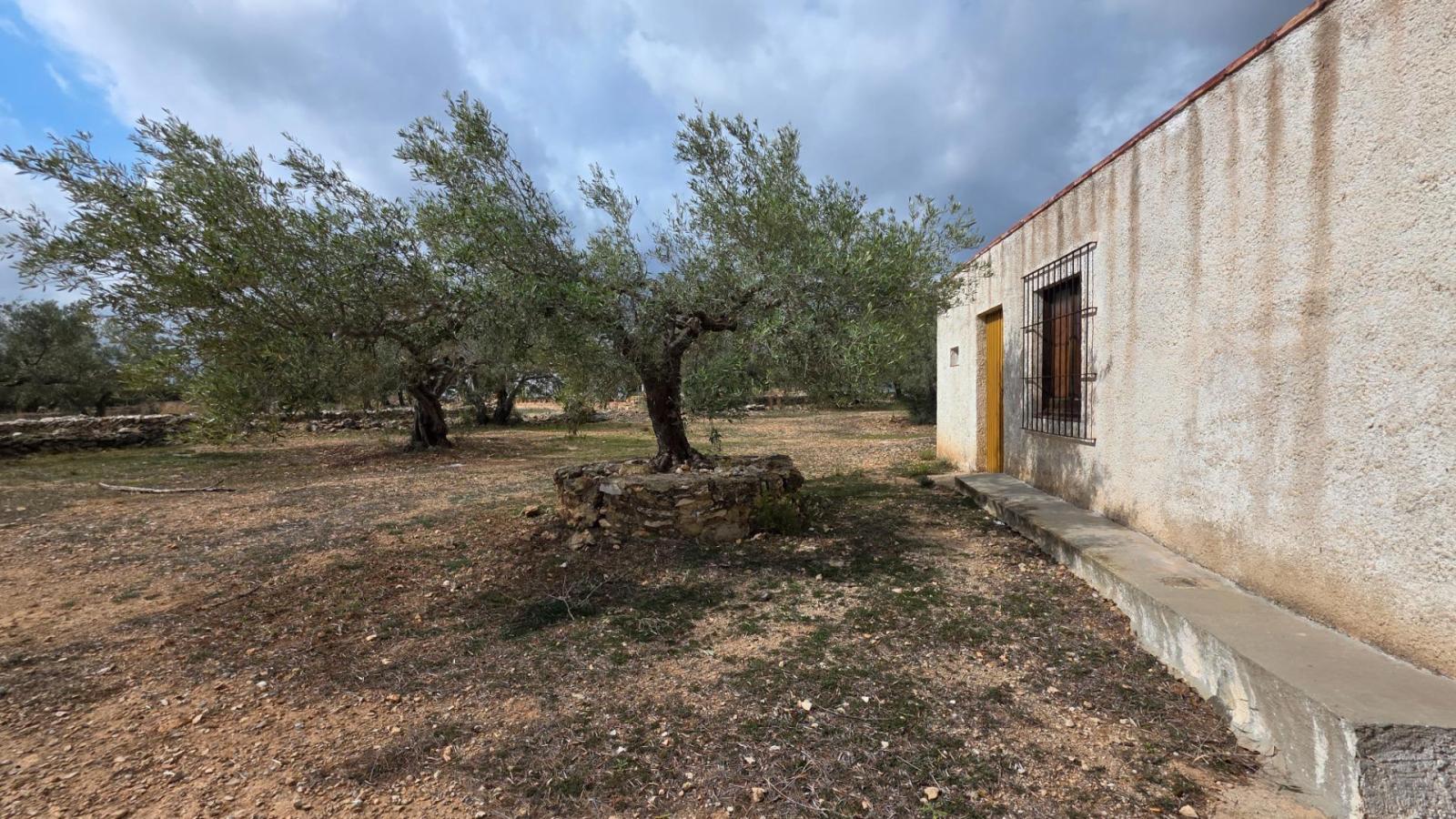 Finca en Venta en L' Ametlla de Mar
