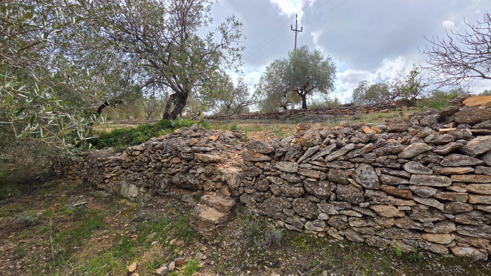 Finca en Venta en L' Ametlla de Mar