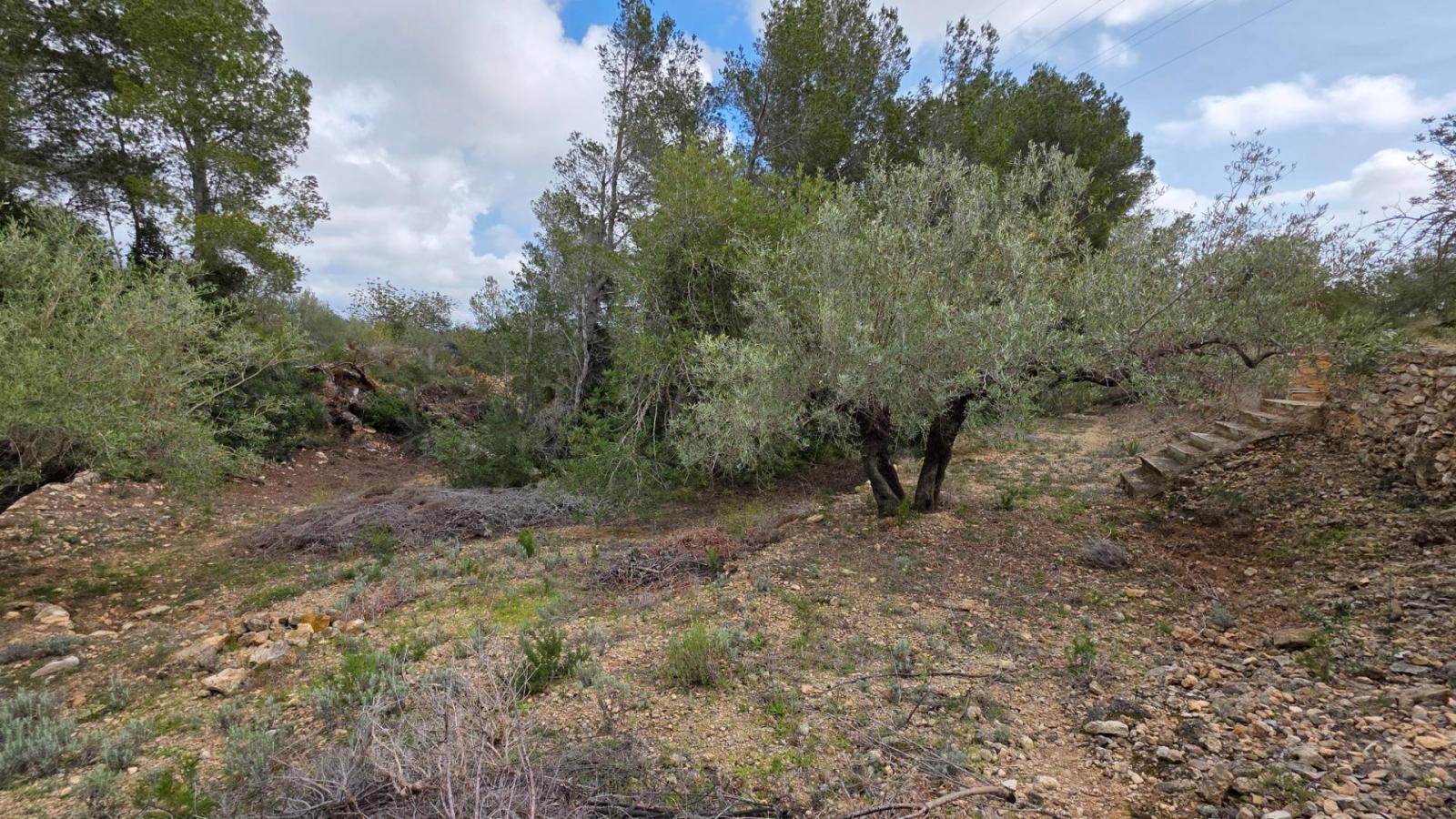 Finca en Venta en L' Ametlla de Mar