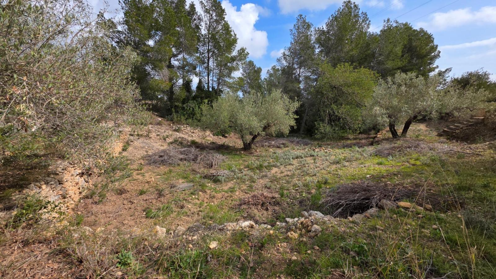 Finca en Venta en L' Ametlla de Mar