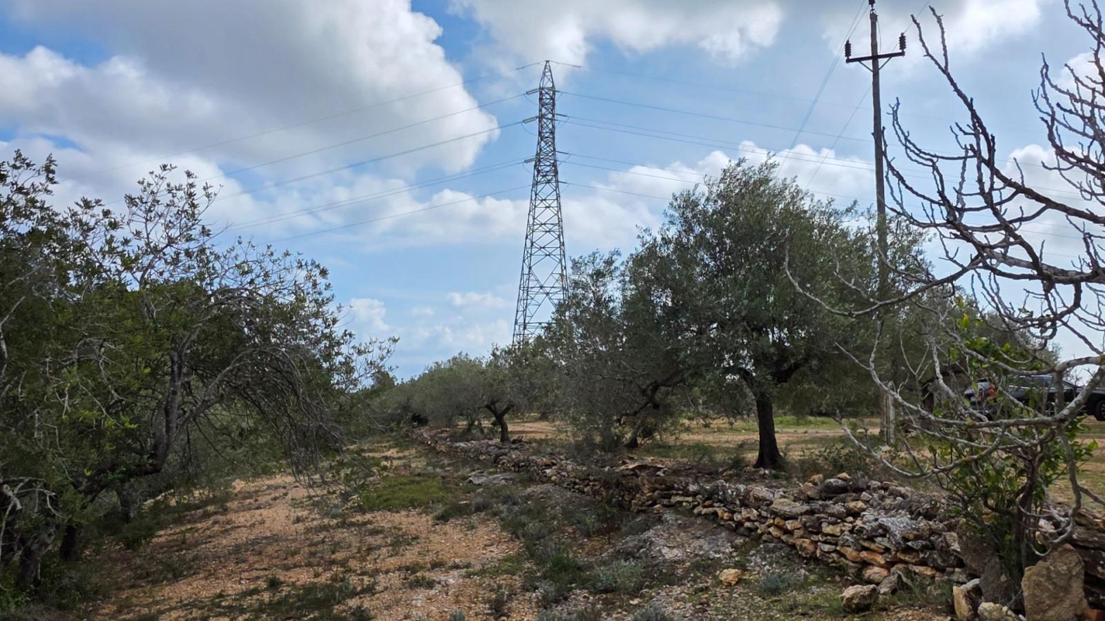 Finca en Venta en L' Ametlla de Mar