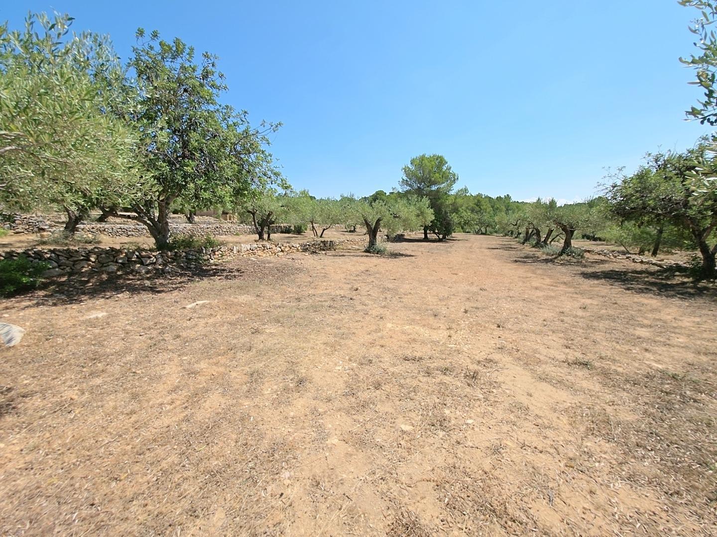 Finca en Venta en L' Ametlla de Mar