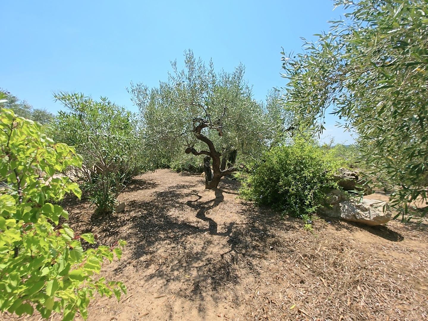 Finca en Venta en L' Ametlla de Mar