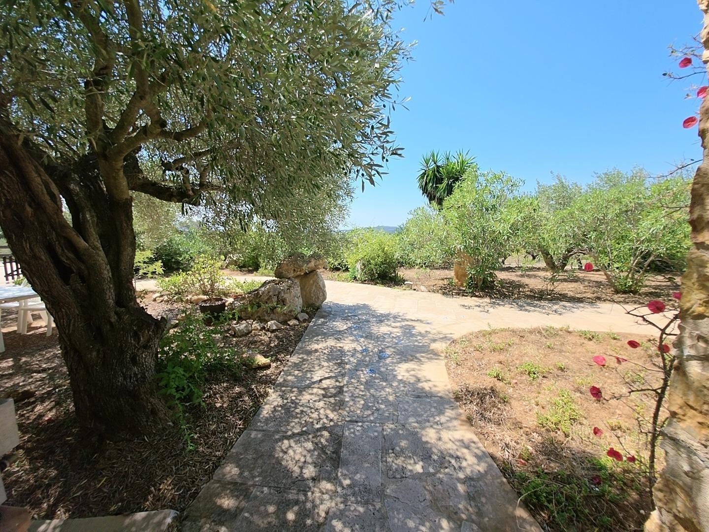 Finca en Venta en L' Ametlla de Mar