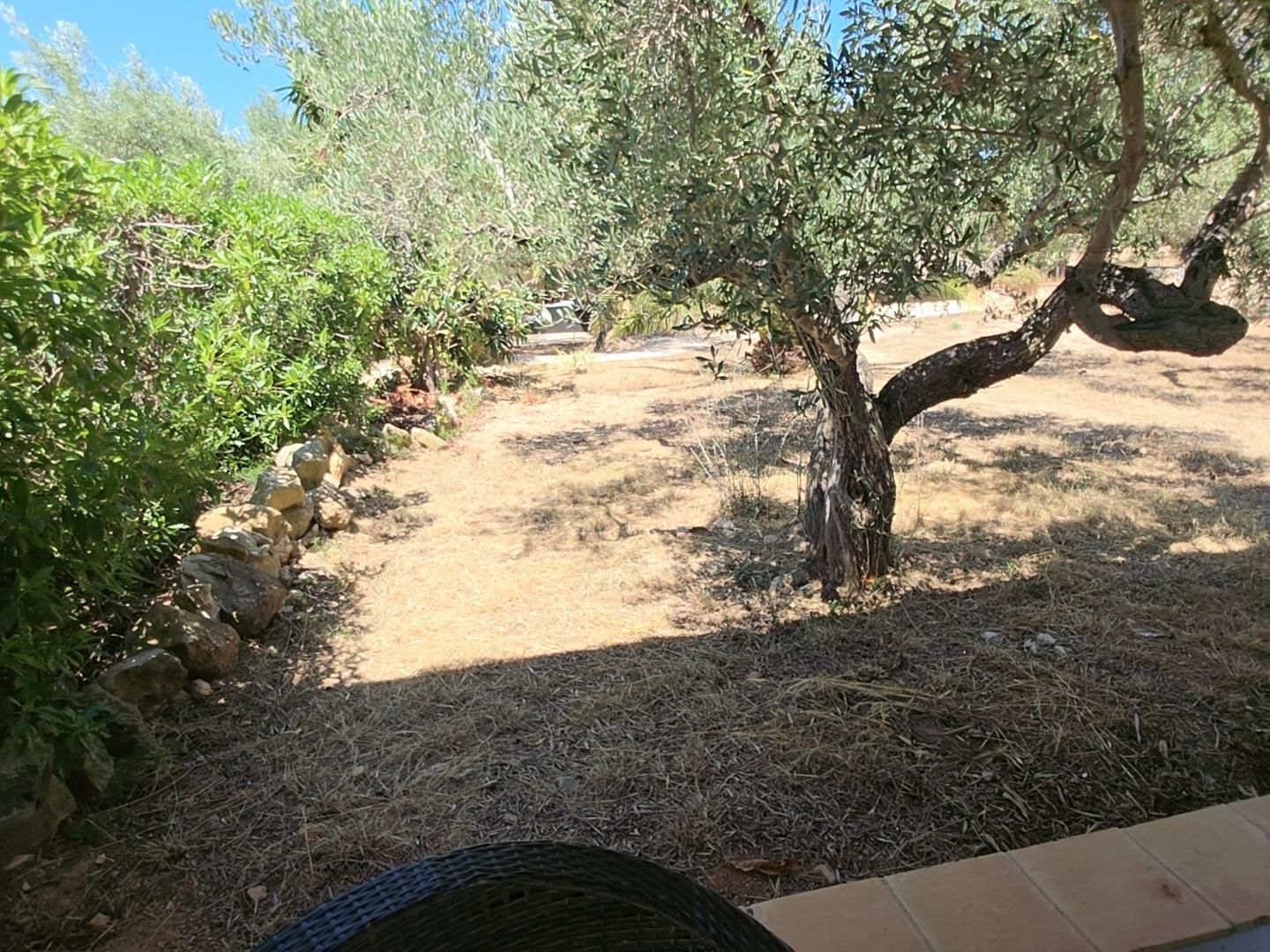 Finca en Venta en L' Ametlla de Mar