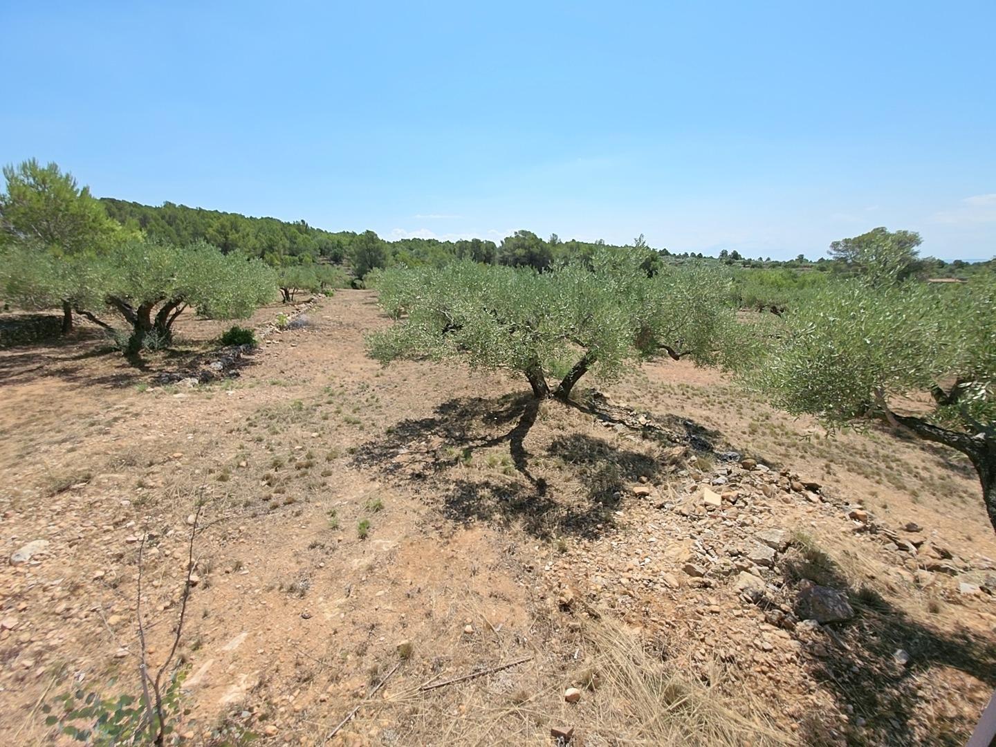 Finca en Venta en L' Ametlla de Mar