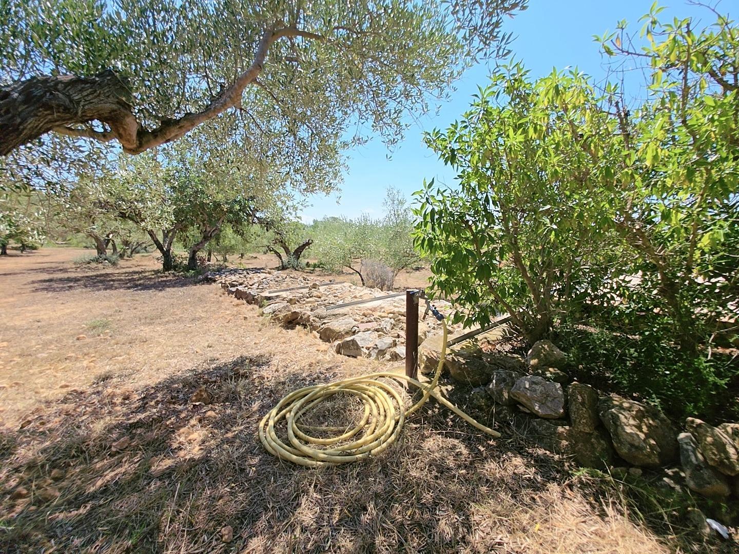 Finca en Venta en L' Ametlla de Mar