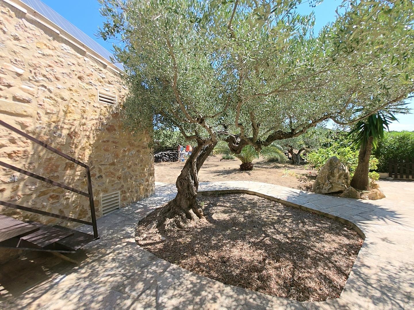 Finca en Venta en L' Ametlla de Mar