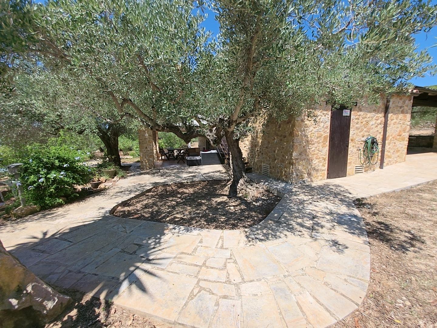 Finca en Venta en L' Ametlla de Mar