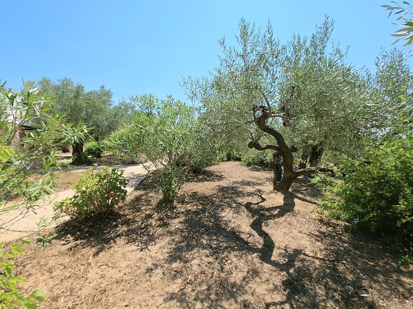 Finca en Venta en L' Ametlla de Mar
