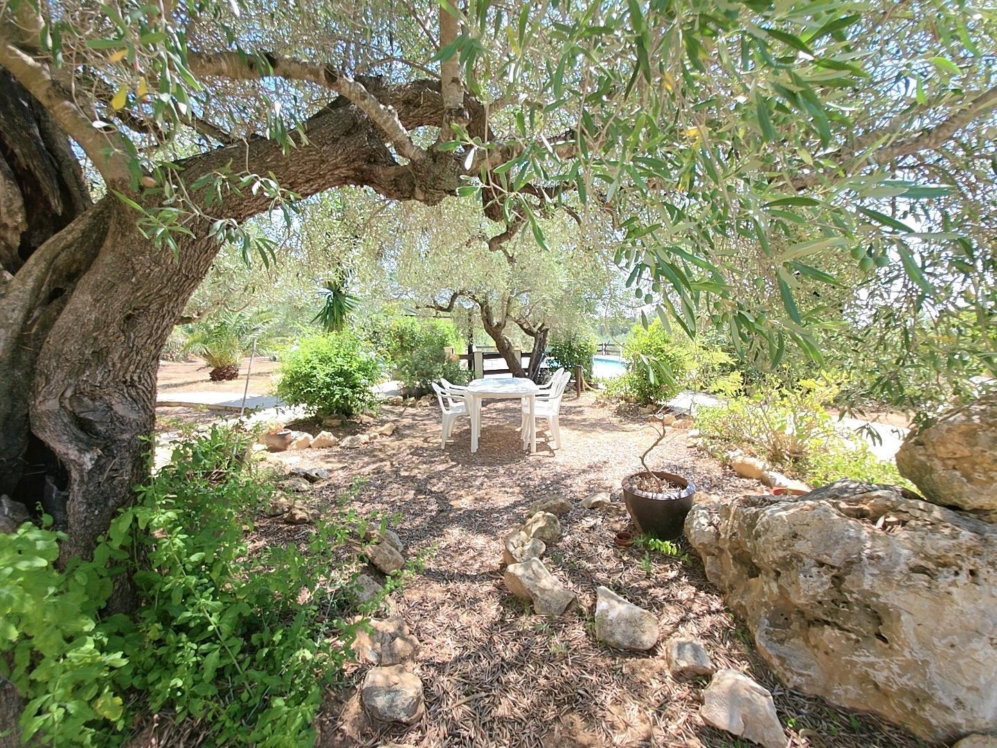 Finca en Venta en L' Ametlla de Mar