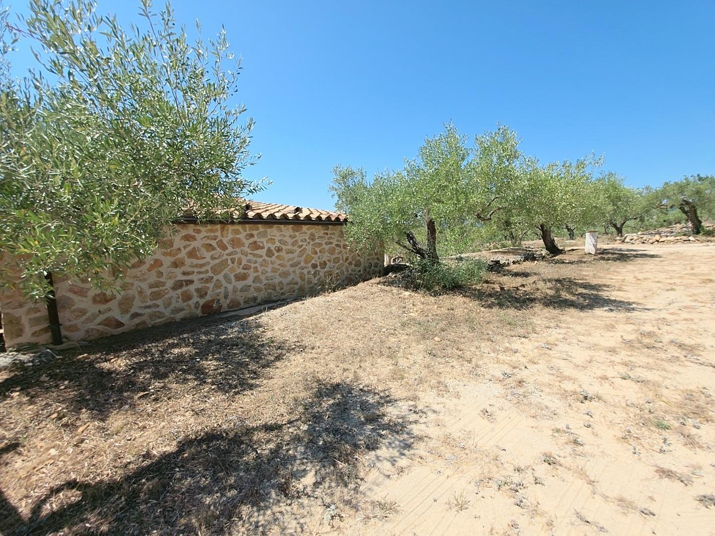 Finca en Venta en L' Ametlla de Mar