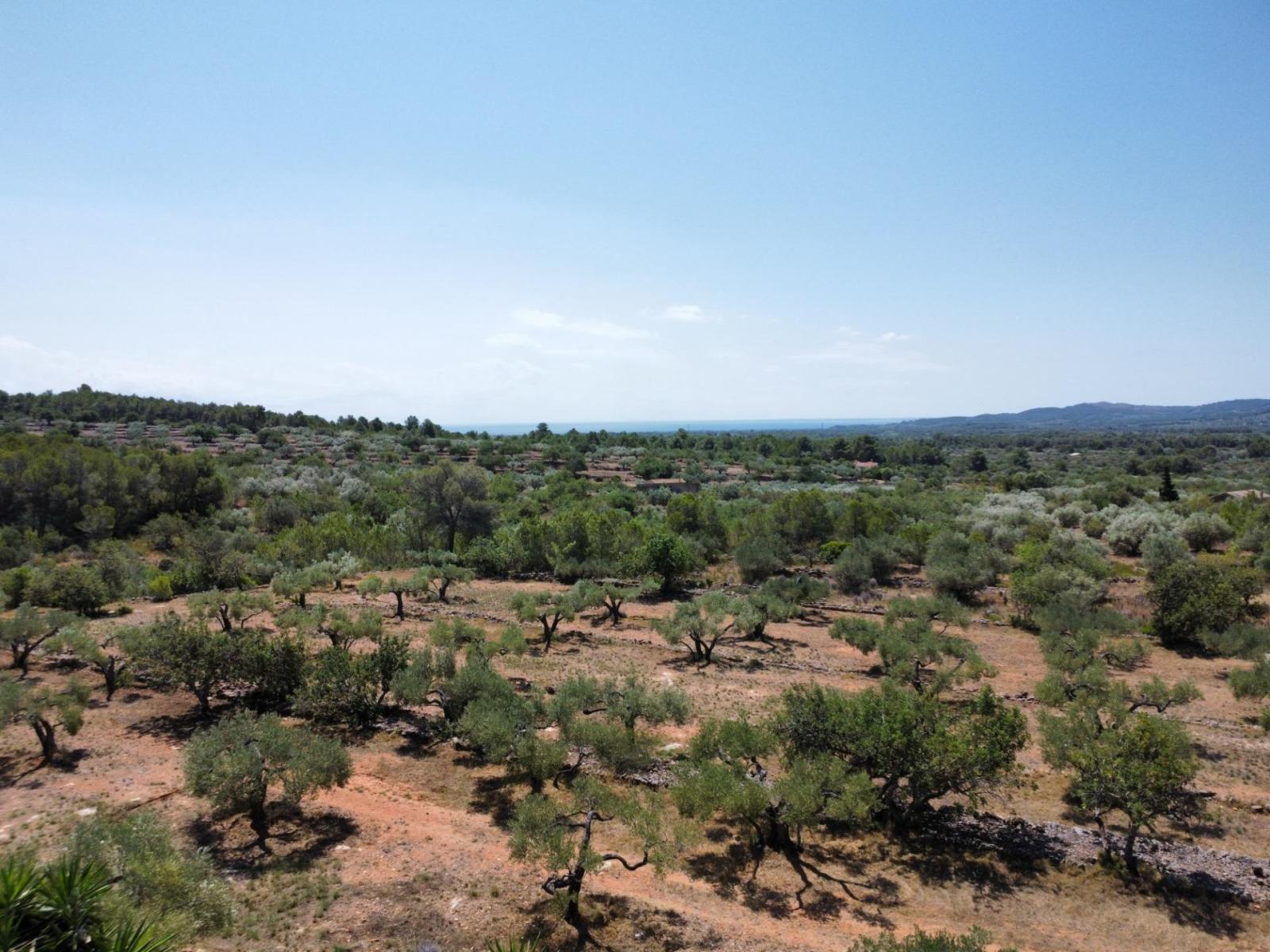 Finca en Venta en L' Ametlla de Mar