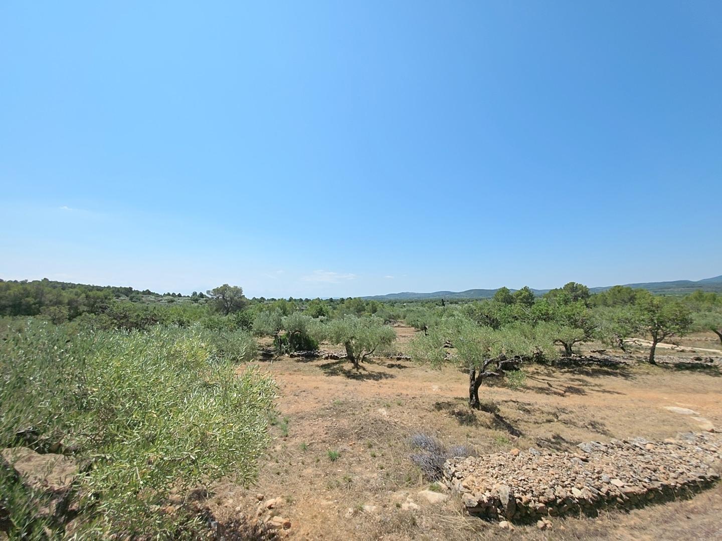 Finca en Venta en L' Ametlla de Mar