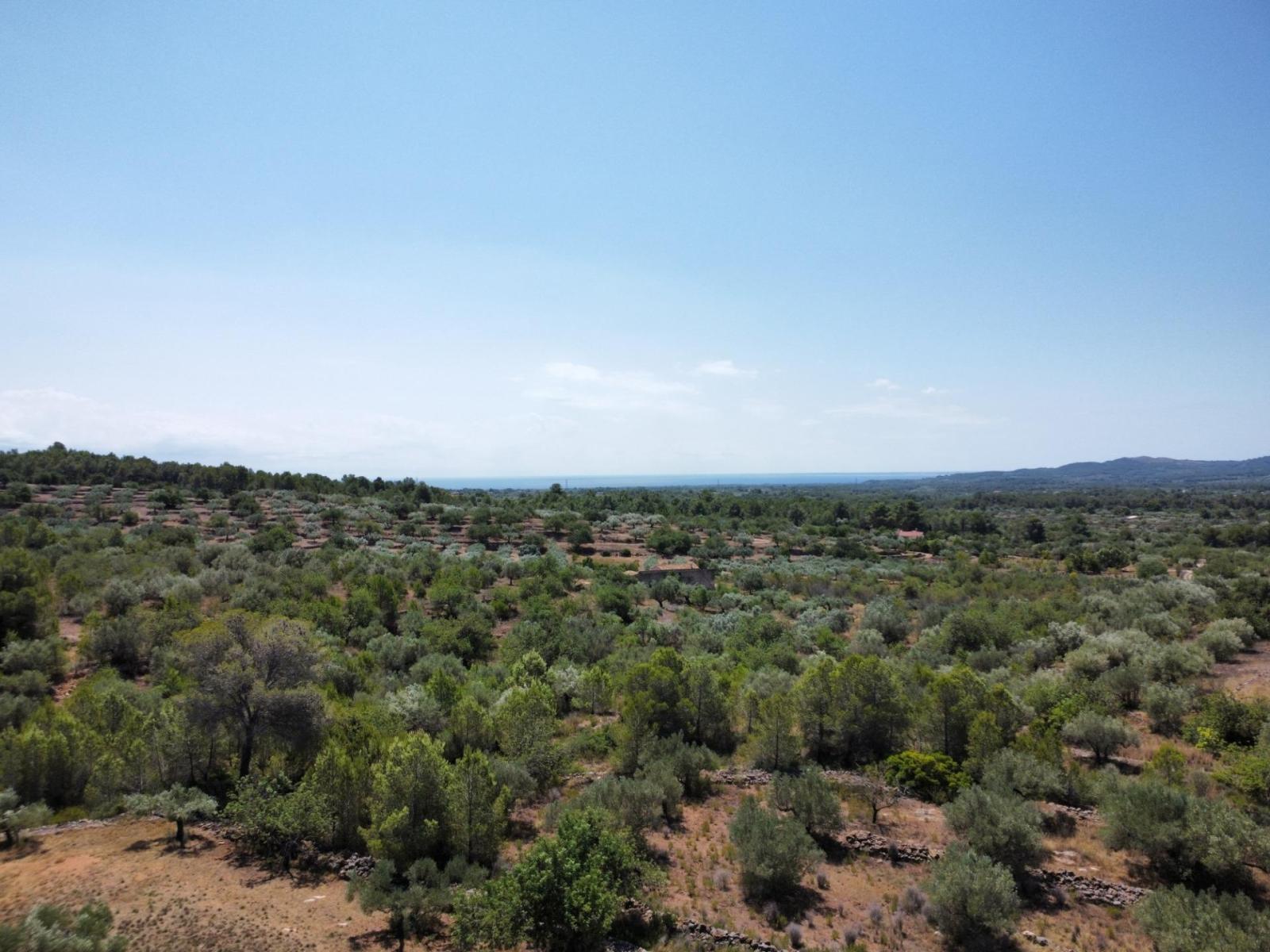 Finca en Venta en L' Ametlla de Mar