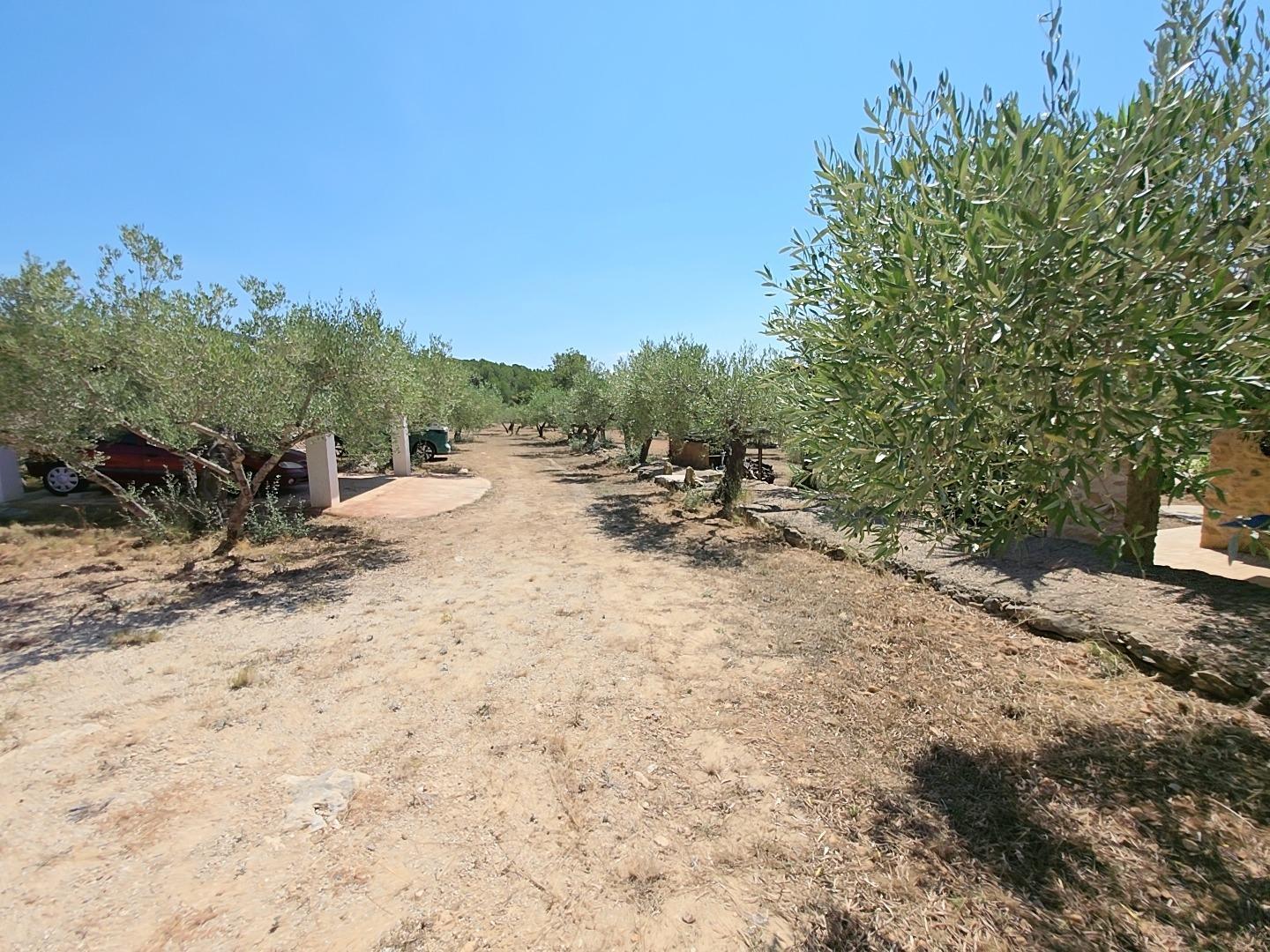 Finca en Venta en L' Ametlla de Mar