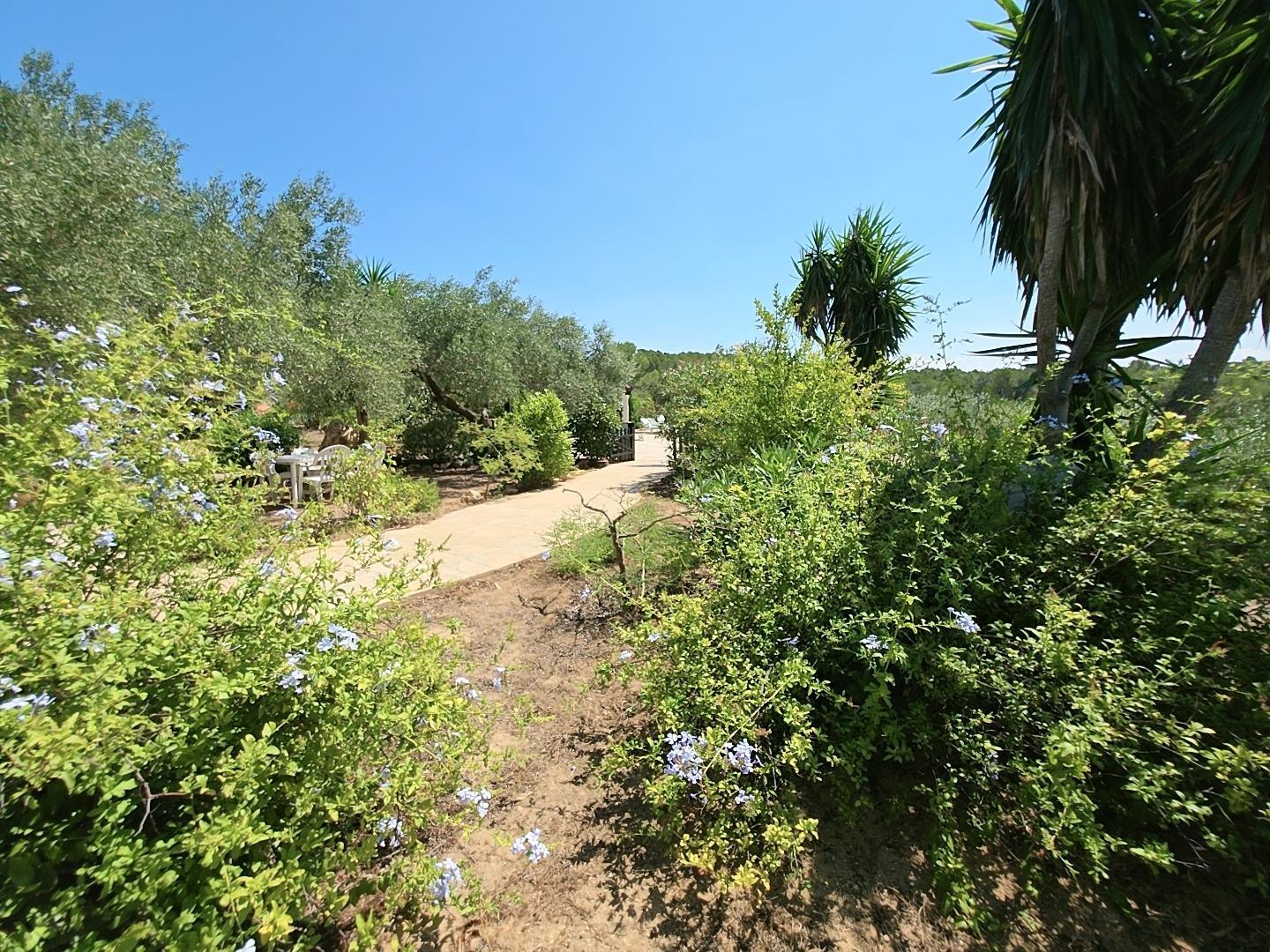 Finca en Venta en L' Ametlla de Mar