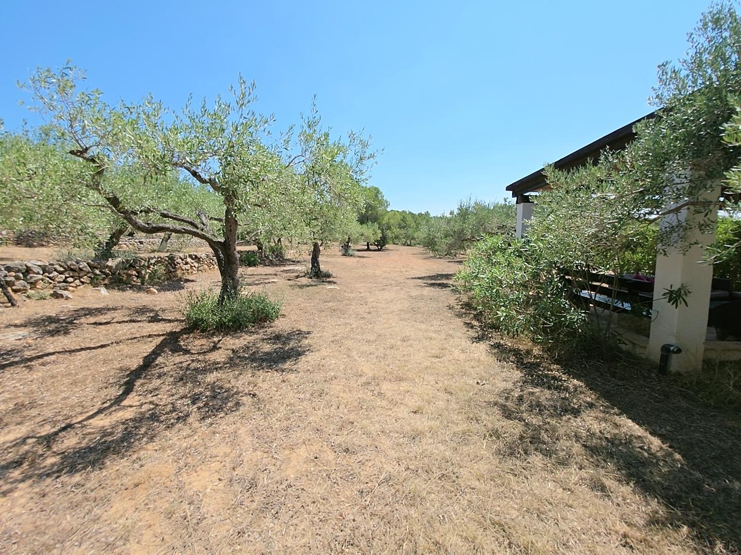 Finca en Venta en L' Ametlla de Mar