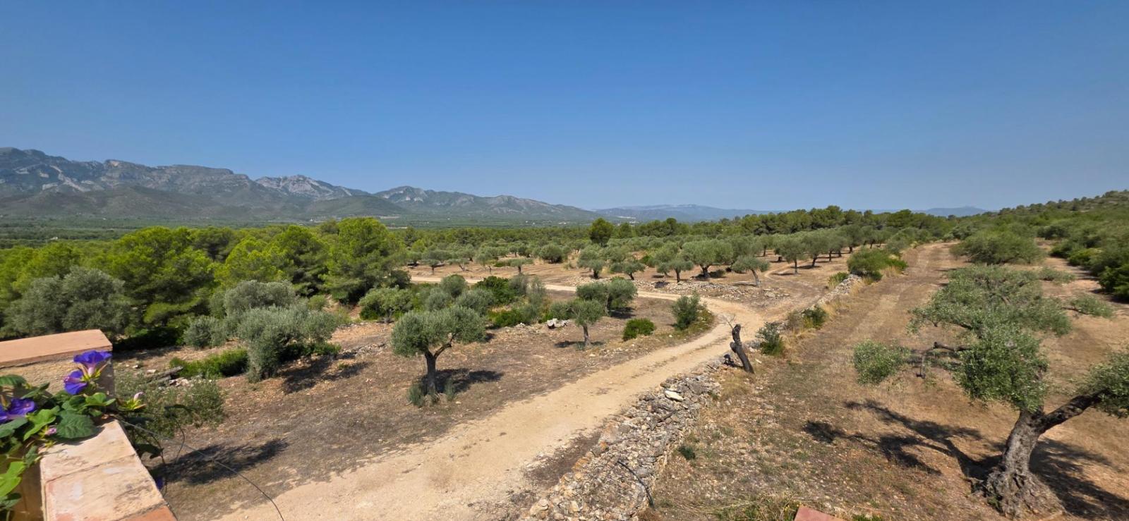 Finca en Venta en Tivissa