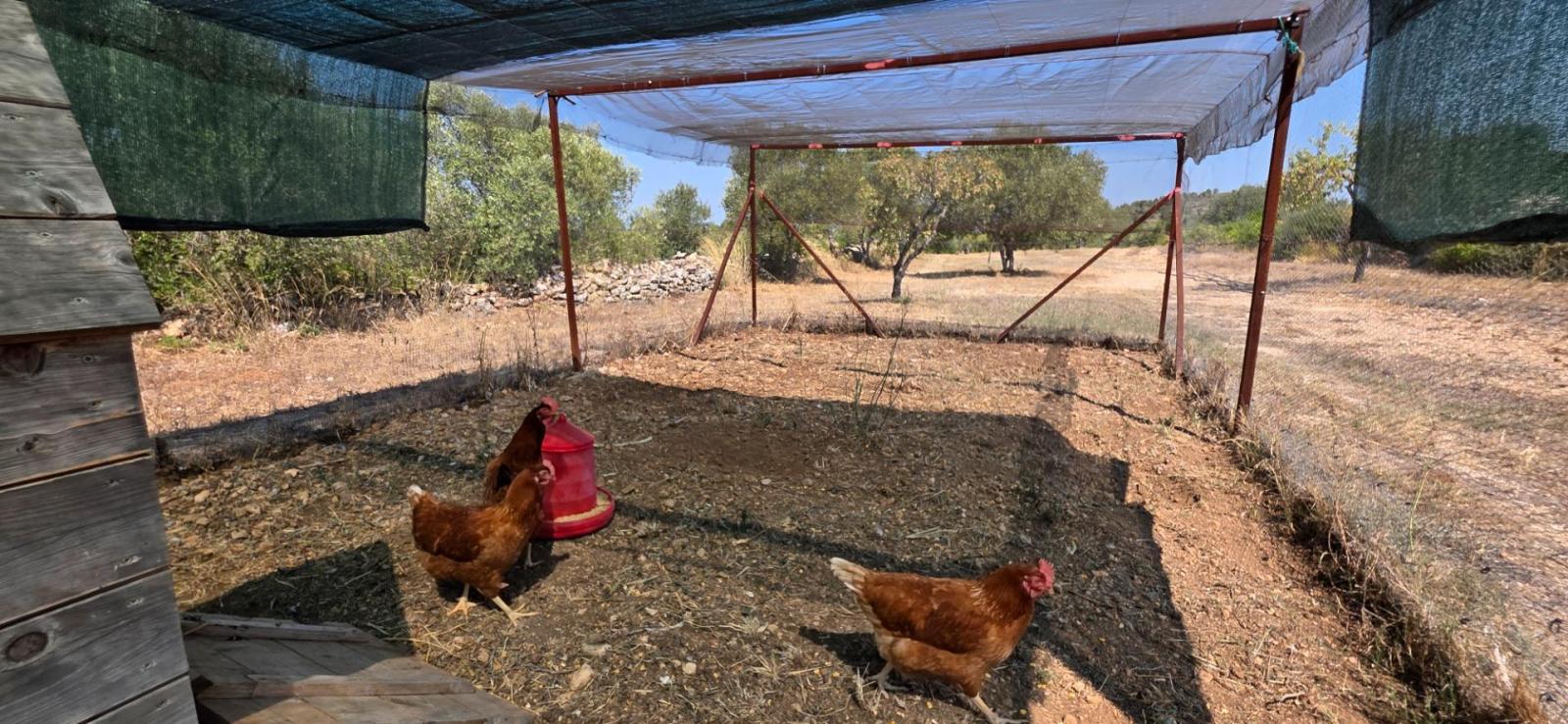 Finca en Venta en Tivissa